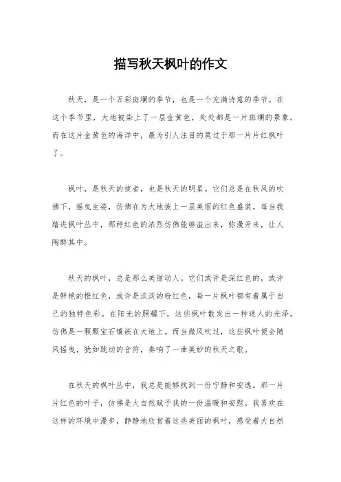 描写秋天枫叶的作文