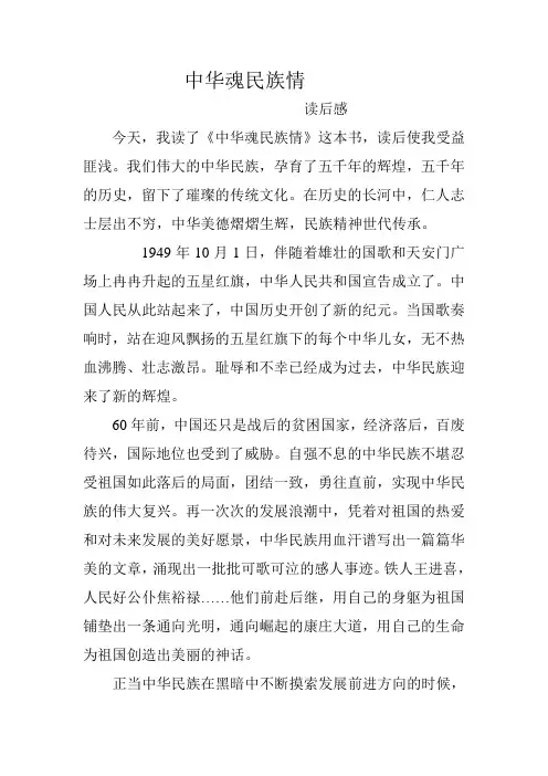 中华魂民族情