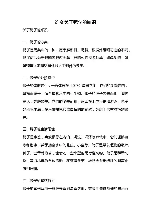 许多关于鸭字的知识