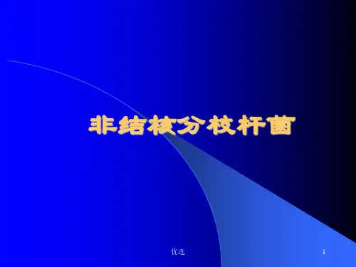 非结核分枝杆菌影像表现汇总.ppt