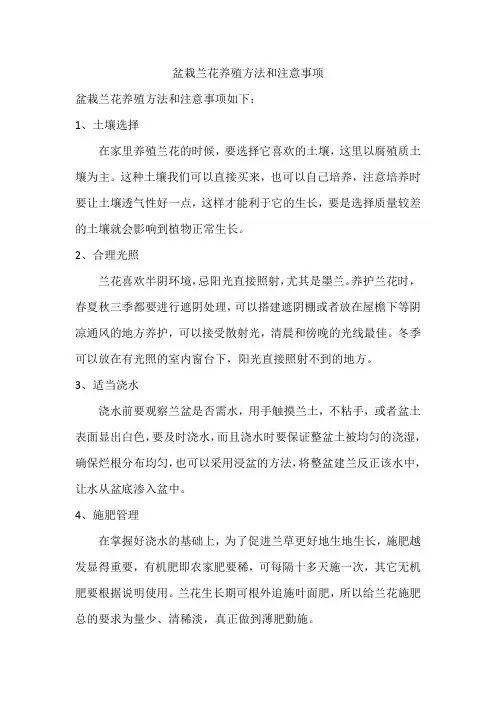 盆栽兰花养殖方法和注意事项