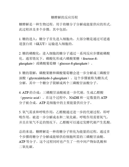 糖酵解的反应历程