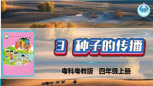 粤教最新版科学四年级上册3种子的传播课件PPT