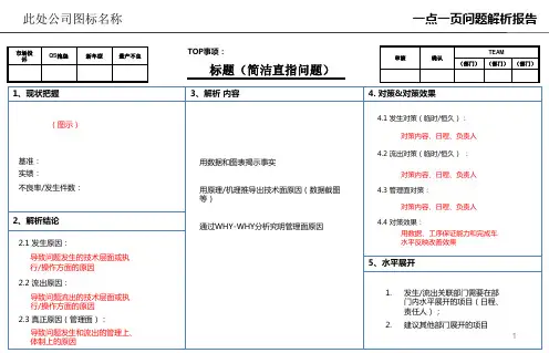 一点一页问题解析报告模板(PPT)