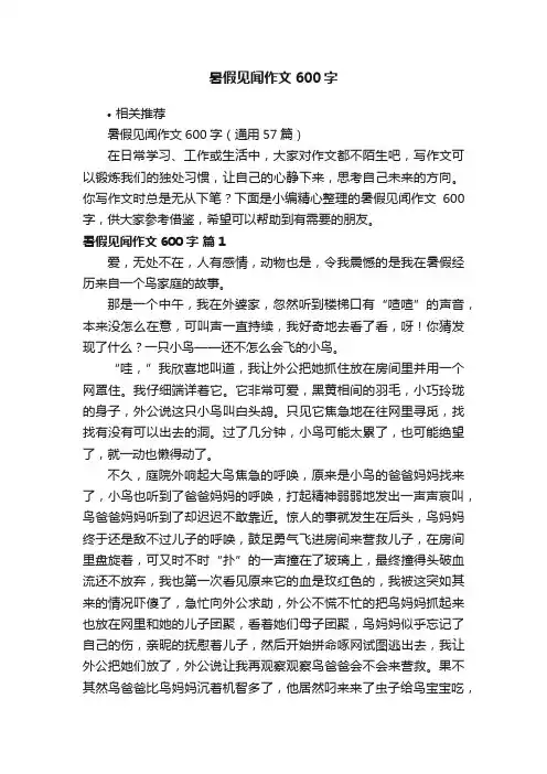 暑假见闻作文600字