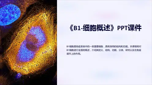 《B1-细胞概述》课件