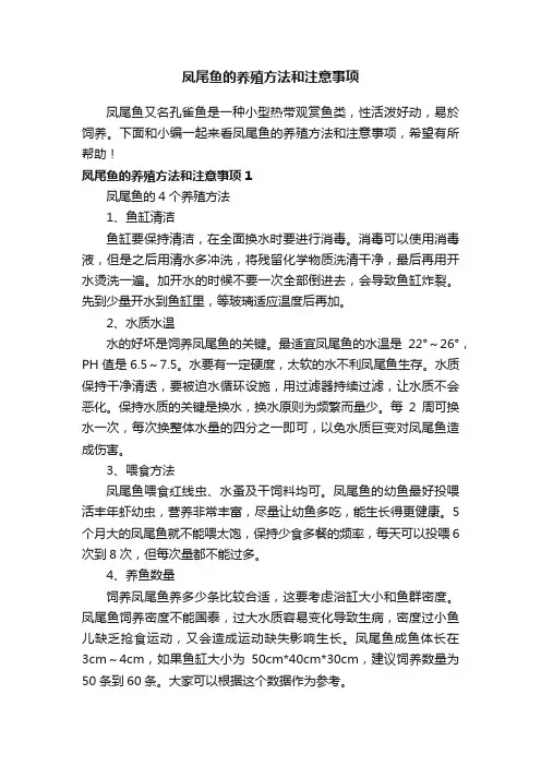 凤尾鱼的养殖方法和注意事项