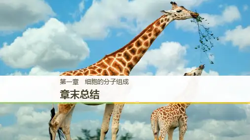 2019学年步步高浙科生物必修一课件：第一章 章末总结(步步高)