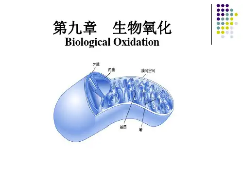 生物化学9生物氧化
