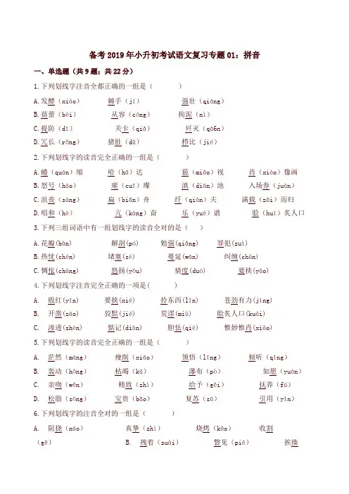 2019年小升初考试语文复习专题全套(共11套试卷含解析)