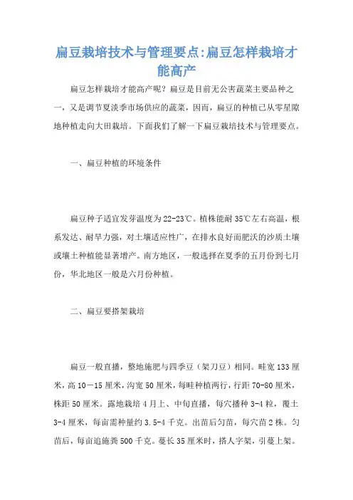扁豆栽培技术与管理要点-扁豆怎样栽培才能高产