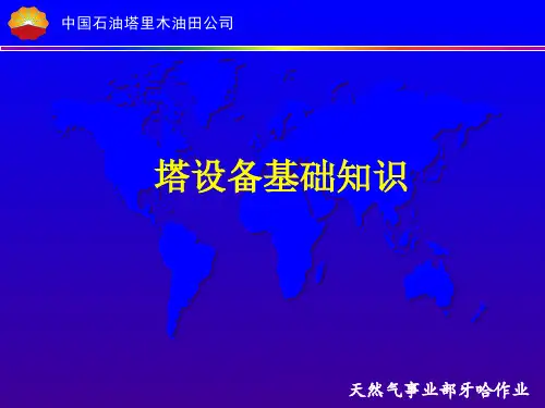 塔设备基础知识.pptx