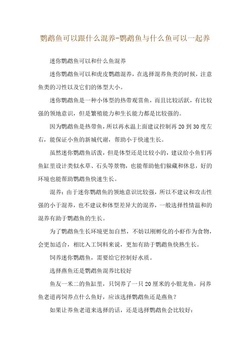 鹦鹉鱼可以跟什么混养-鹦鹉鱼与什么鱼可以一起养