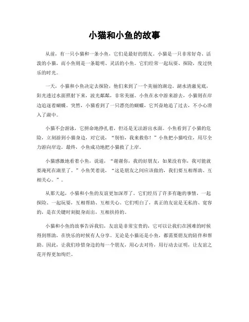 小猫和小鱼的故事