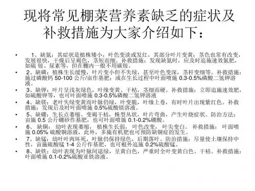 《农学温室大棚》PPT课件