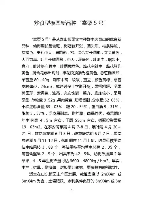 炒食型板栗新品种“泰栗5号”