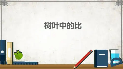 苏教版数学六年级上册树叶中的比课件
