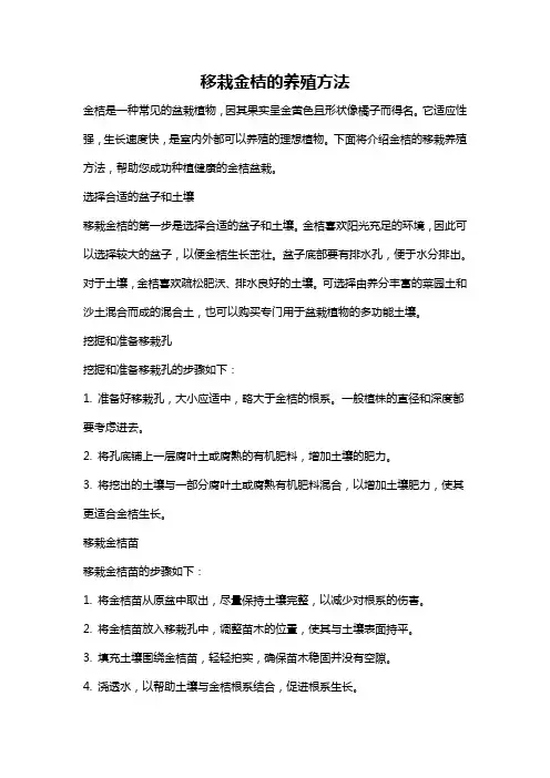 移栽金桔的养殖方法