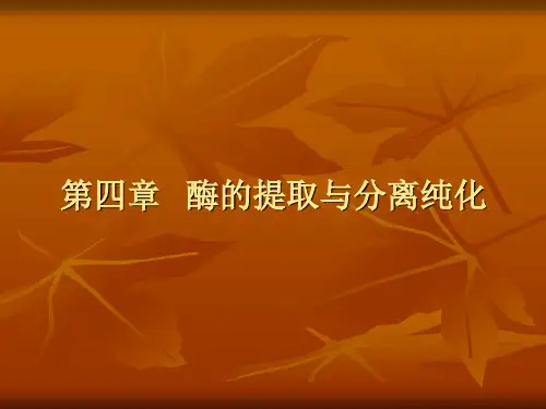第四章   酶的分离