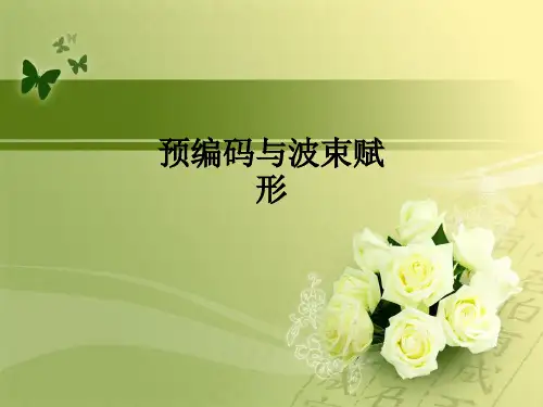 预编码与波束赋形ppt课件