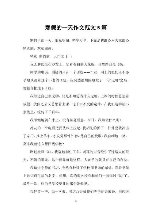 寒假的一天作文范文5篇