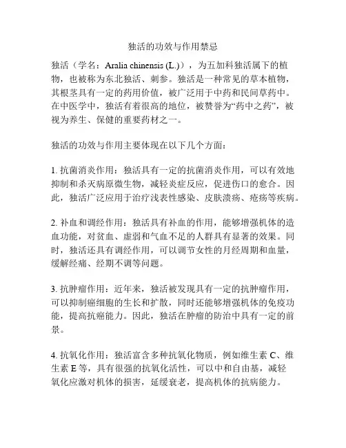 独活的功效与作用禁忌