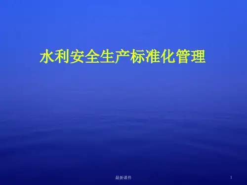 201X-水利水电工程安全生产标准化建设PPT课件