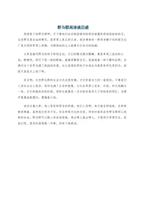 野马群周涛读后感