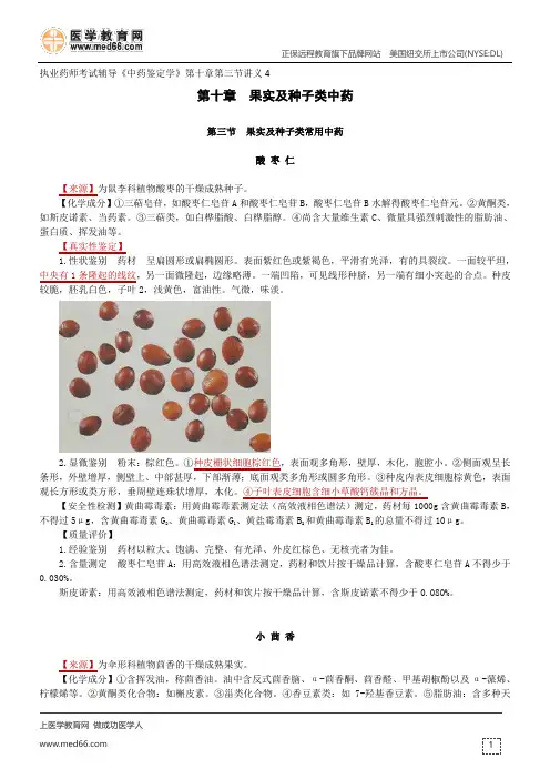 果实及种子类常用中药-执业药师考试辅导《中药鉴定学》第十章第三节讲义4