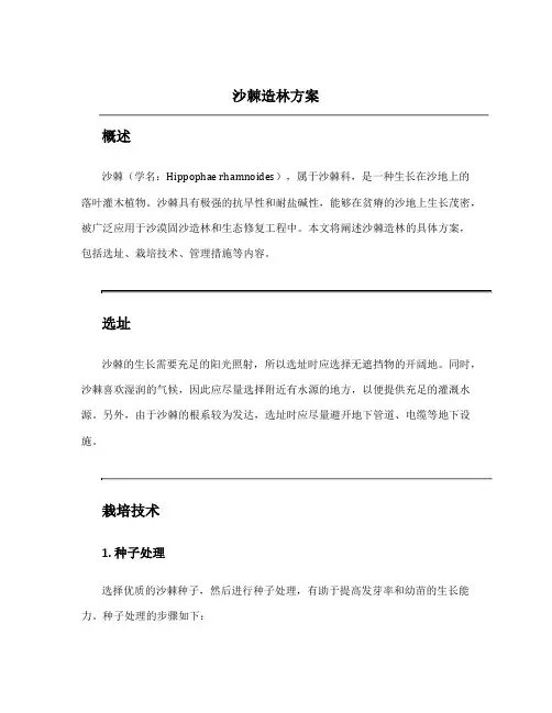 沙棘造林方案
