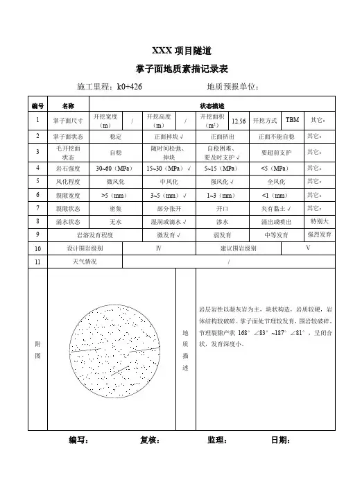 掌子面地质素描表格-圆形隧道