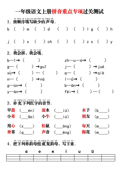 部编版一年级语文上册拼音重点专项过关测试