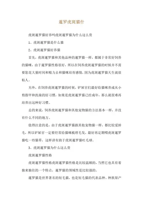 暹罗虎斑猫什