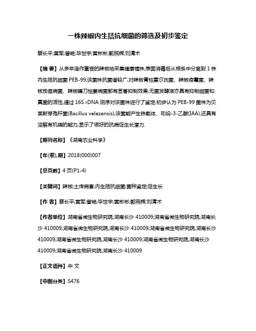 一株辣椒内生拮抗细菌的筛选及初步鉴定