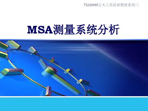 经典详细的MSA培训资料全