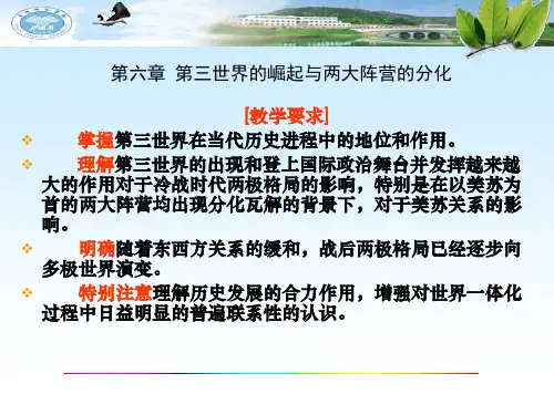 6第6章 第三世界的崛起与两大阵营的分化(new)