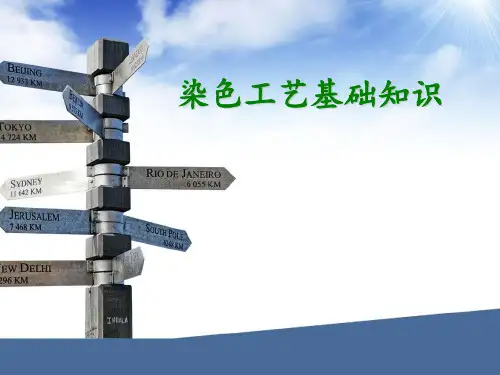 染色工艺基础知识.. 共30页