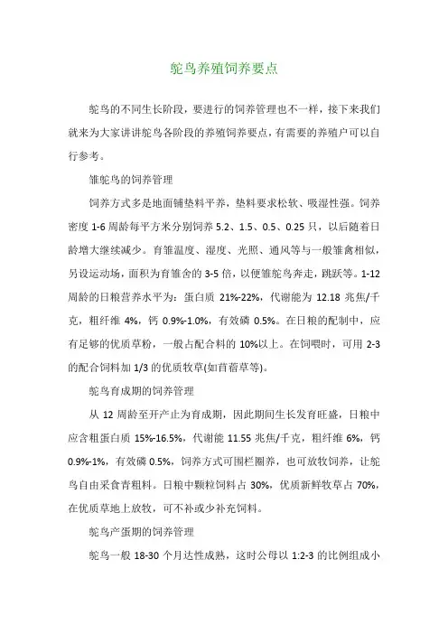 鸵鸟养殖饲养要点