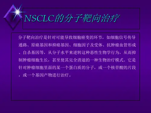 肺癌靶向治疗