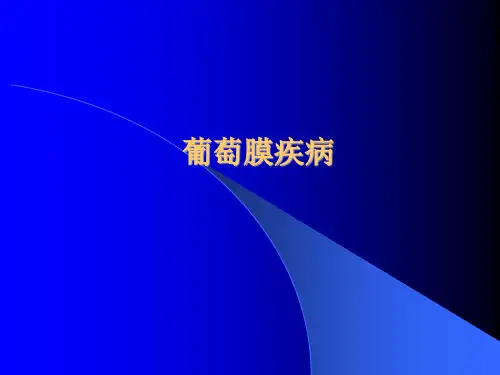 葡萄膜疾病教学PPT