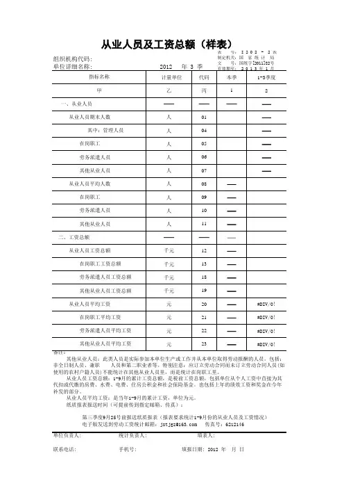 I202-2表(空表)从业人员及工资总额