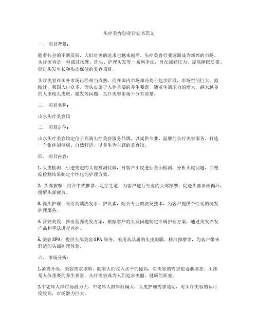 头疗美容创业计划书范文