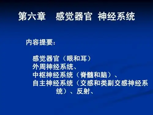 动物生理6-感觉和神经系统