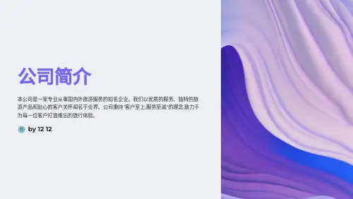 旅游公司简介以及详情内容