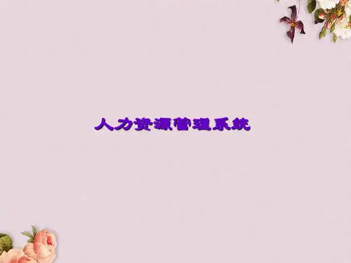 人力资源管理系统(PPT 45页)