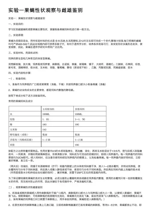 实验一果蝇性状观察与雌雄鉴别
