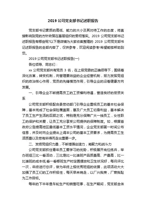 2019公司党支部书记述职报告