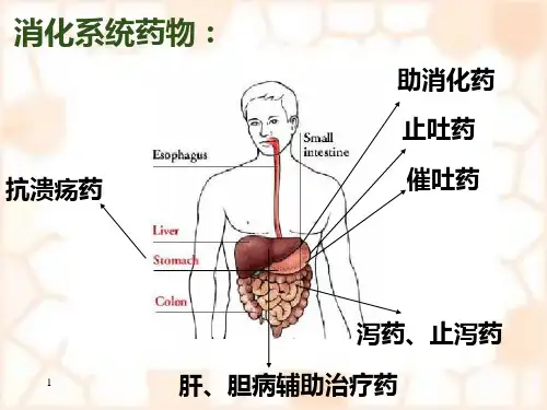 最新消化系统疾病概述及常用药物ppt课件-PPT文档