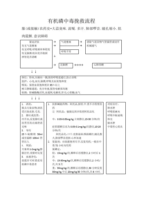 有机磷中毒抢救流程