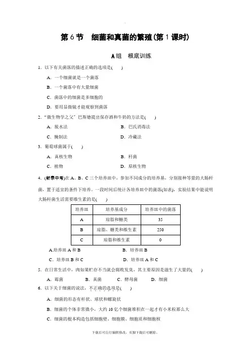 初中浙教版科学七年级下册第一章第6节 细菌和真菌的繁殖 练习